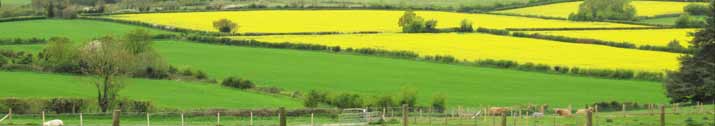 Countryside
